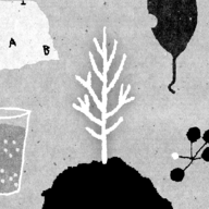 美女张开双腿露出尿口最新版下载-美女张开双腿露出尿口安卓版手机版下载v1.51