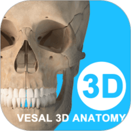 久久抽插3D解剖app免费版下载-久久抽插3D解剖教学手机版下载 v7.0.0 安卓版
