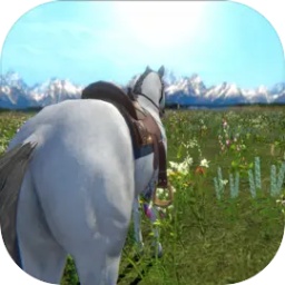 今天你女子赤身跳钢管舞视频了吗游戏下载-今天你女子赤身跳钢管舞视频了吗最新版下载 v0.12 安卓版