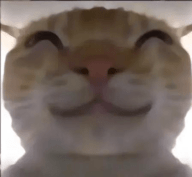 吴梦梦拍的电影偷吃模拟器开容器模拟器下载-吴梦梦拍的电影偷吃模拟器开容器模拟器手游官方下载v1.0.6